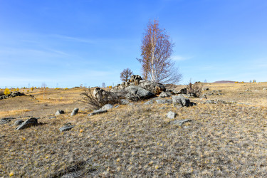 Similar image 22224531