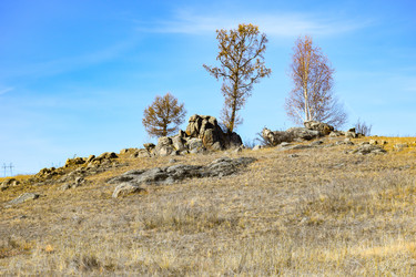 Similar image 22224532