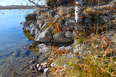 Similar image 22224535