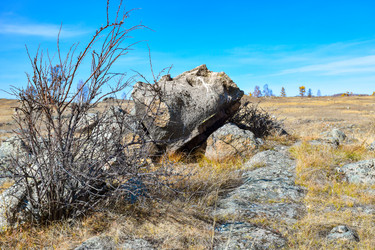 Similar image 22224539