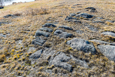 Similar image 22224542