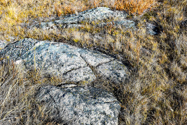 Similar image 22224545