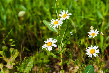 Similar image 22229481