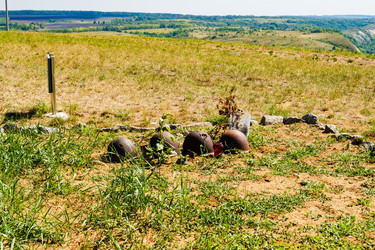 Similar image 22229487