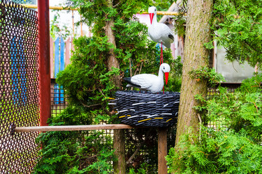 Similar image 22229489