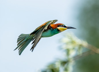 Similar image 22224549