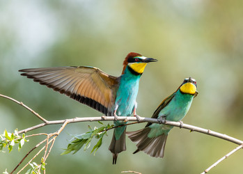 Similar image 22224551