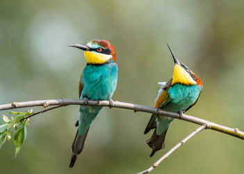 Similar image 22224553