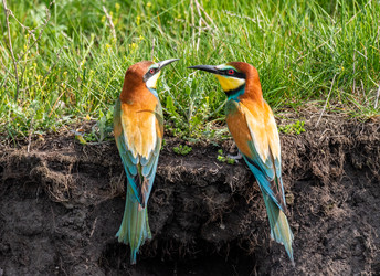 Similar image 22224558