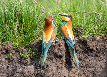 Similar image 22224559