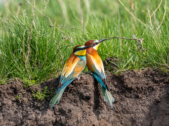 Similar image 22224561