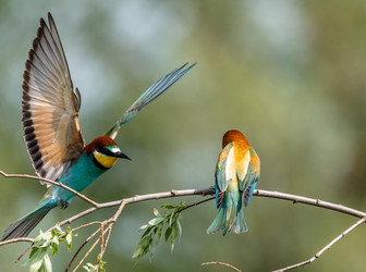 Similar image 22224563