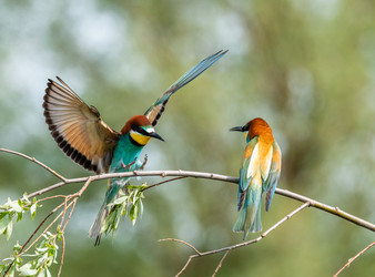 Similar image 22224564