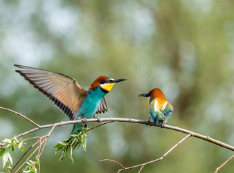 Similar image 22224565