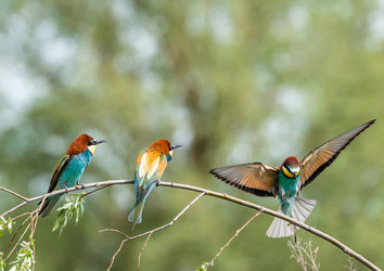 Similar image 22224566