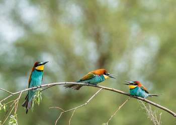 Similar image 22224568