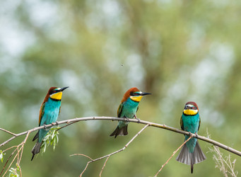 Similar image 22224569