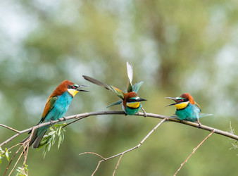 Similar image 22224570