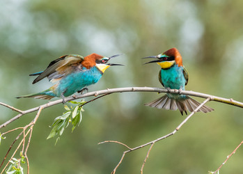 Similar image 22224571