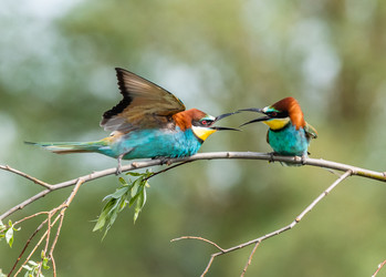 Similar image 22224572