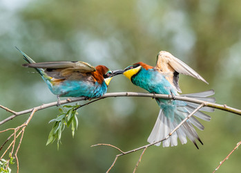 Similar image 22224573