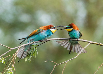 Similar image 22224575