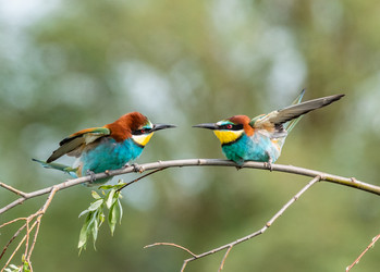 Similar image 22224576