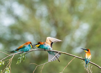 Similar image 22224577