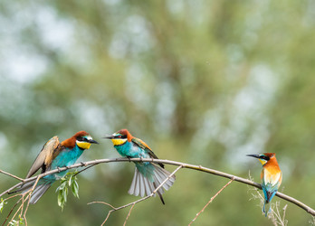 Similar image 22224578