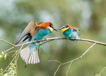 Similar image 22224579