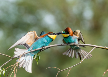 Similar image 22224580