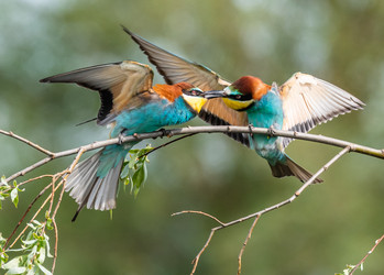 Similar image 22224034