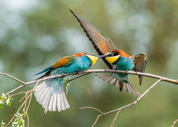 Similar image 22224035