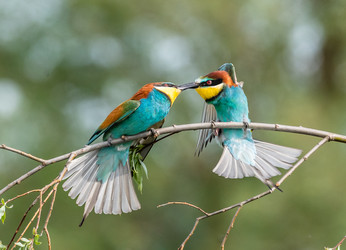 Similar image 22224038