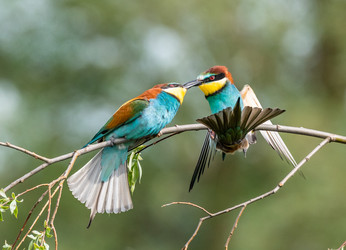 Similar image 22224041