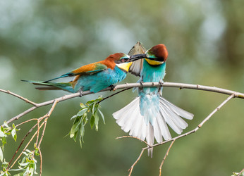 Similar image 22224042