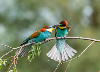 Similar image 22224043