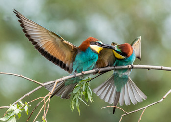 Similar image 22224045