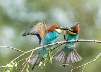 Similar image 22224046