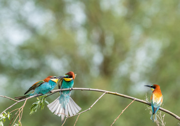 Similar image 22224047