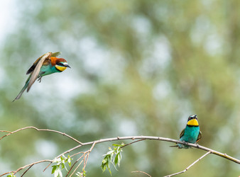 Similar image 22224049