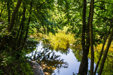 Similar image 22225181