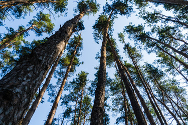 Similar image 22225183