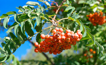 Similar image 22225017