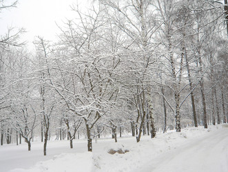 Similar image 22225019