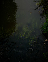 Similar image 22224210