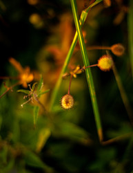 Similar image 22224211