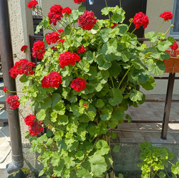 Similar image 22224212