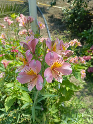 Similar image 22224213