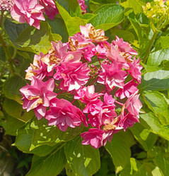 Similar image 22224263